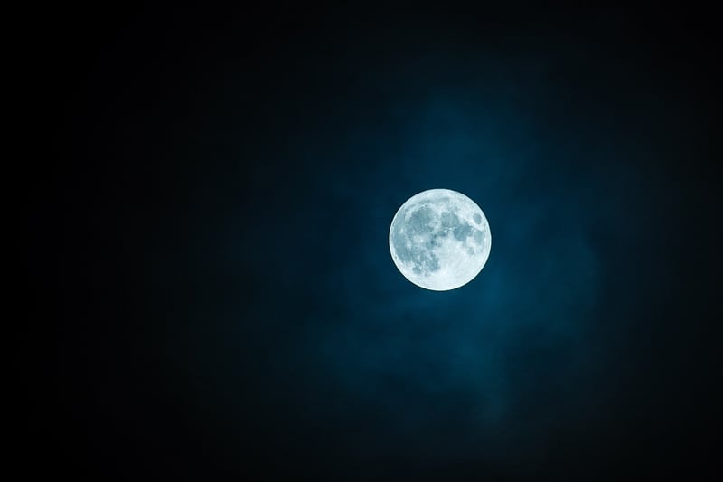 Moon Phase Wall Art